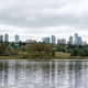 Illustration for article titled Pics from the Curbside: 2019-09-26 Around Deer Lake Park